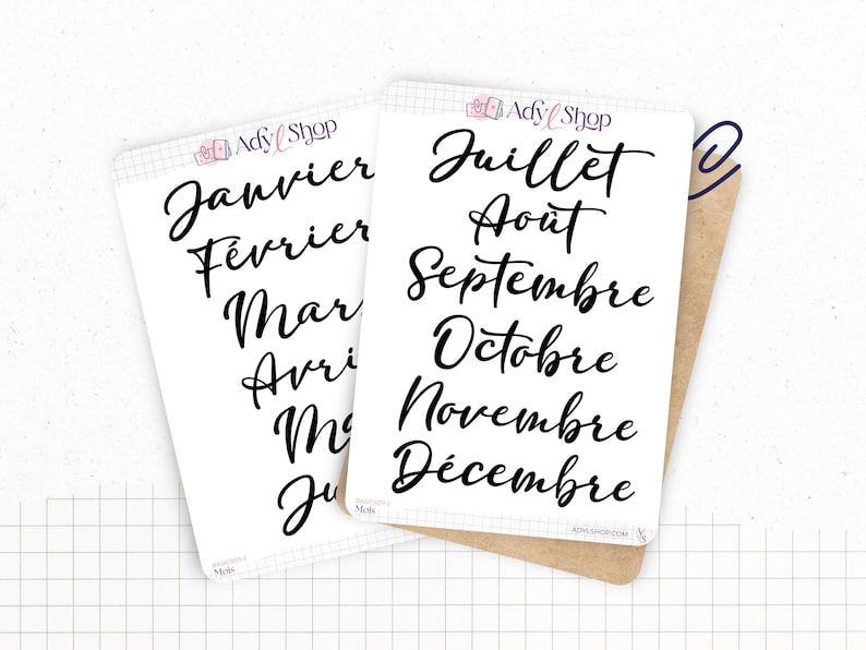 Stickers - Months of the year - Transparent matte sticker paper - 5 different fonts - Bullet Journal & Planner sticker sheet - Journaling 02. FRANÇAIS