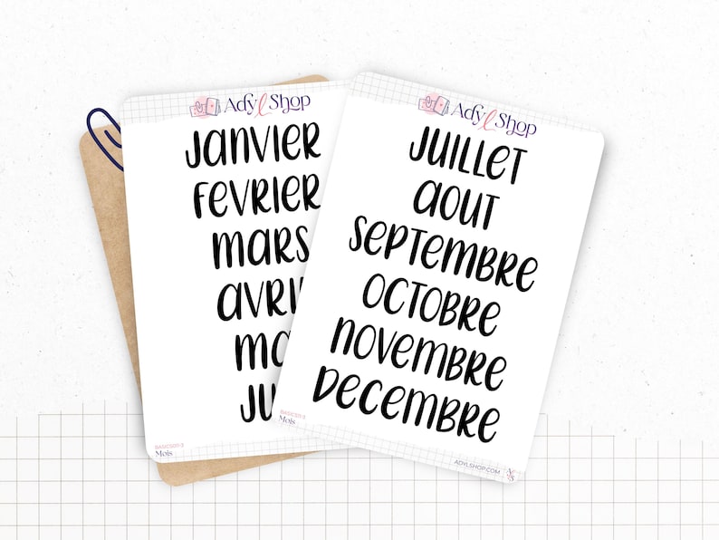Stickers - Months of the year - Transparent matte sticker paper - 5 different fonts - Bullet Journal & Planner sticker sheet - Journaling 03. FRANÇAIS
