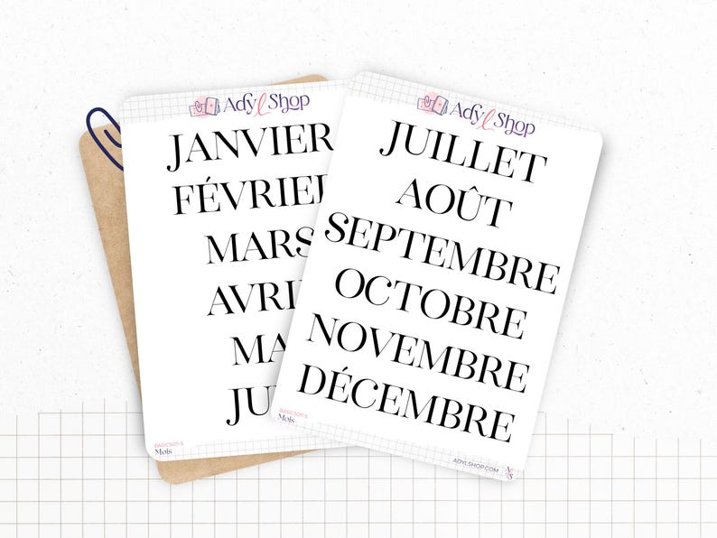 Stickers - Months of the year - Transparent matte sticker paper - 5 different fonts - Bullet Journal & Planner sticker sheet - Journaling 05. FRANÇAIS