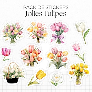 Planches de Stickers "Jolies Tulipes" - Autocollants sur le thème du printemps, fleurs - Jolies tulipes colorées - Bullet Journal Planner
