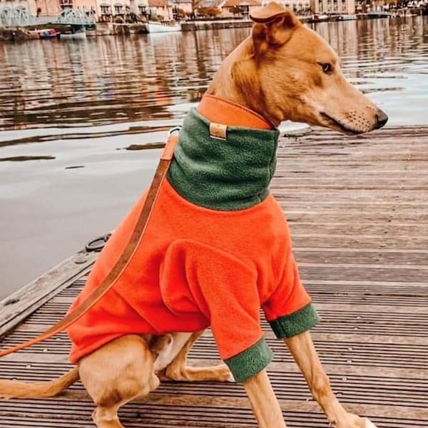 Jumper Whippet Iggy Sighthound Short Sleeve Polar Fleece Outdoor Shower Proof Warm Cold Cosy Cozy Dog Clothes Winter Saluki Greyhound