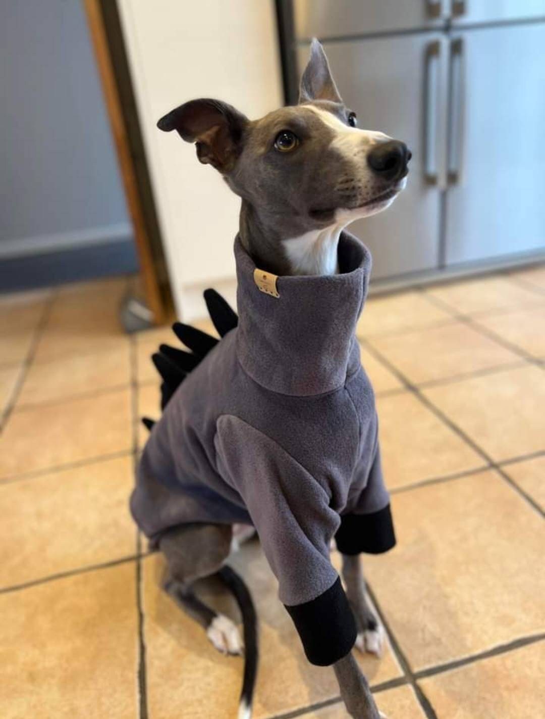 Vetement whippet hotsell