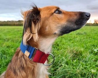 Martingalehalsband tweekleurige 2" hond windhond Whippet Saluki windhond galgo
