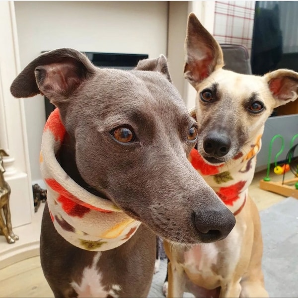 Dog Snood Sighthound Whippet Fleece Neck Scarf