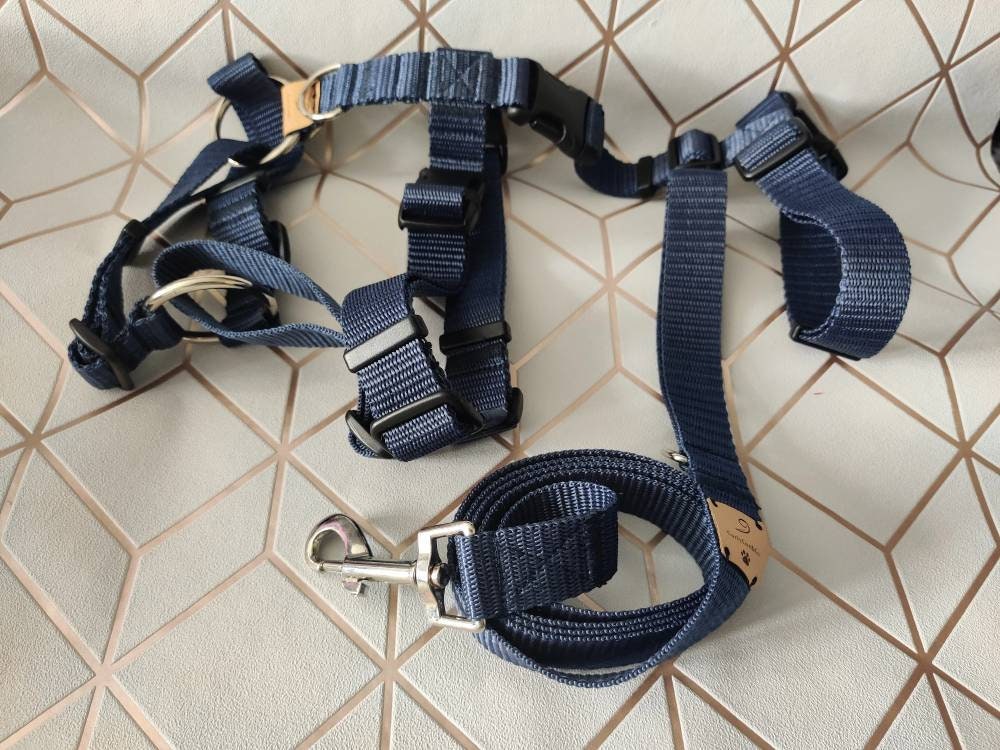 3 strap dog harness
