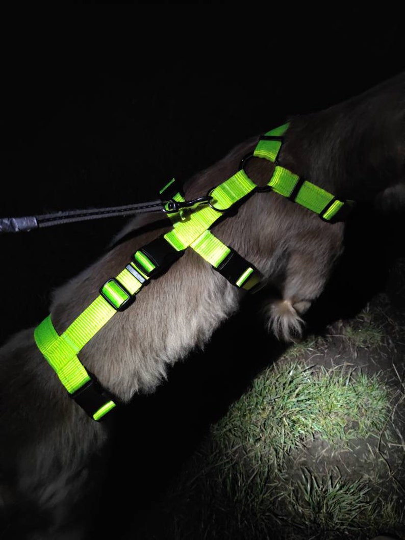 Dog Harness Anti Escape Escape Resistant 3 Strap 7 Way Adjustable Webbing colourful Houdini Sighthound Whippet Greyhound Saluki Hound-ini image 9