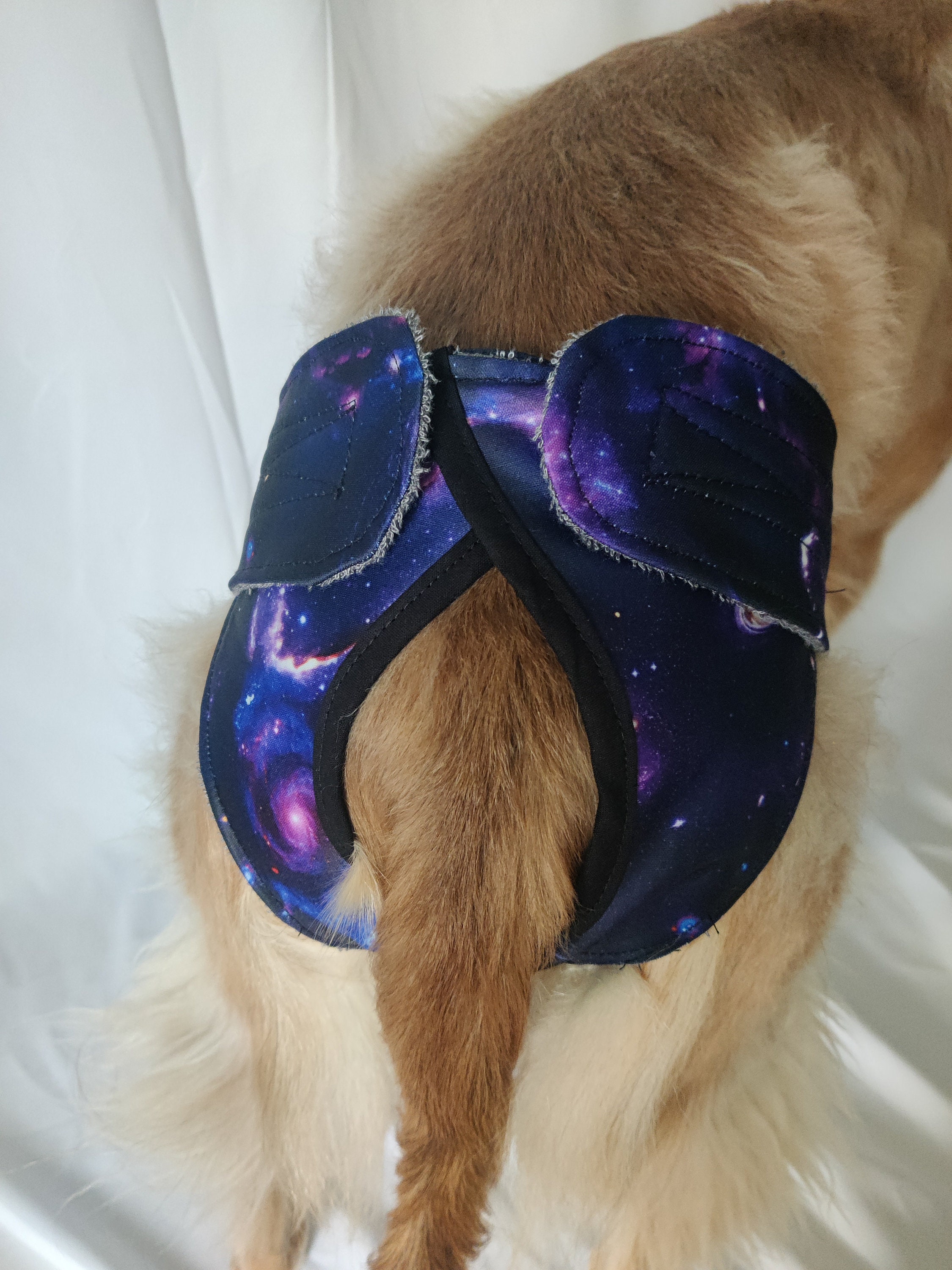 Dog Britches Etsy Canada