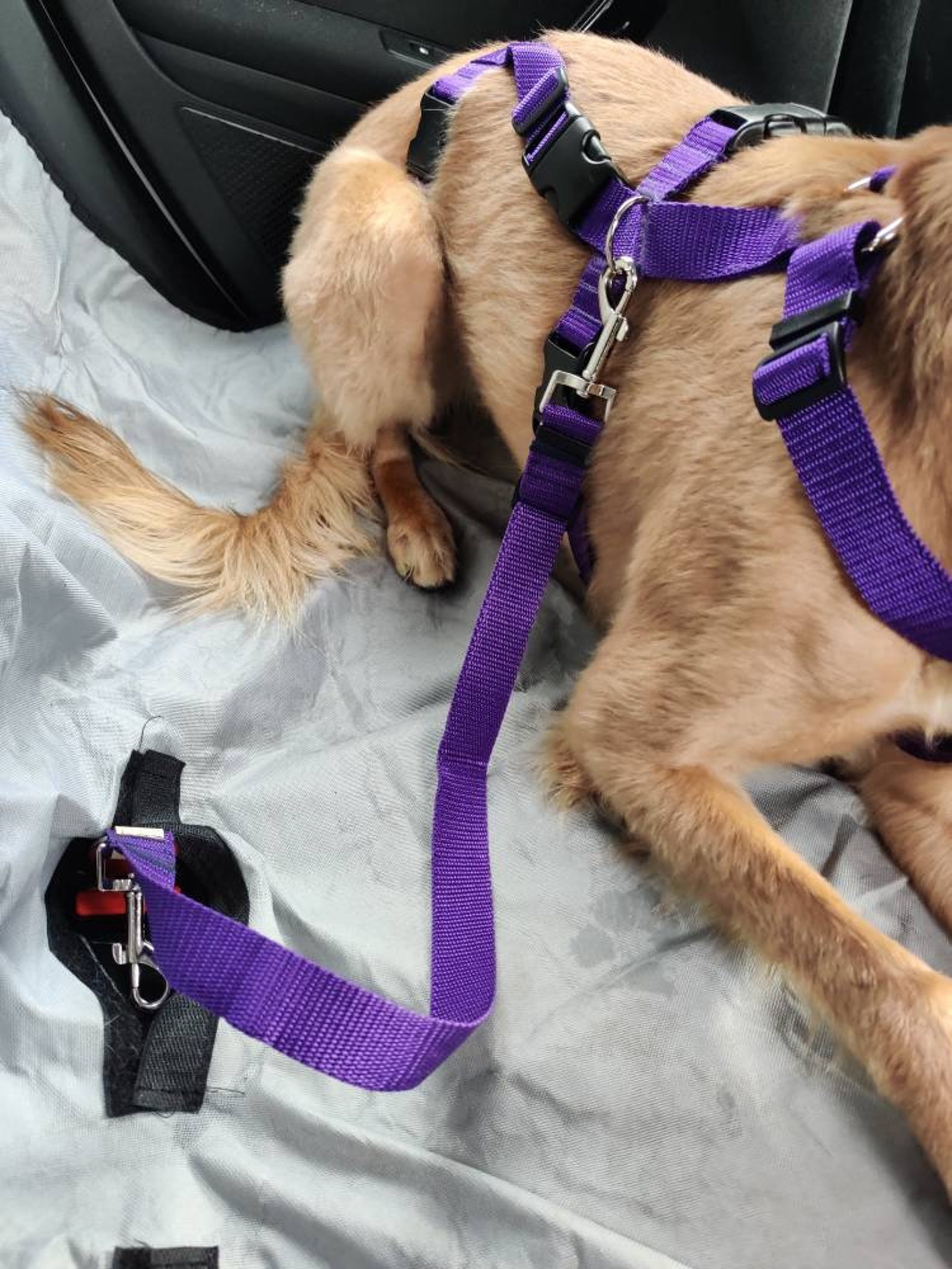 Double Car Seat Belt Attachment Safety Restraint Lead Etsy