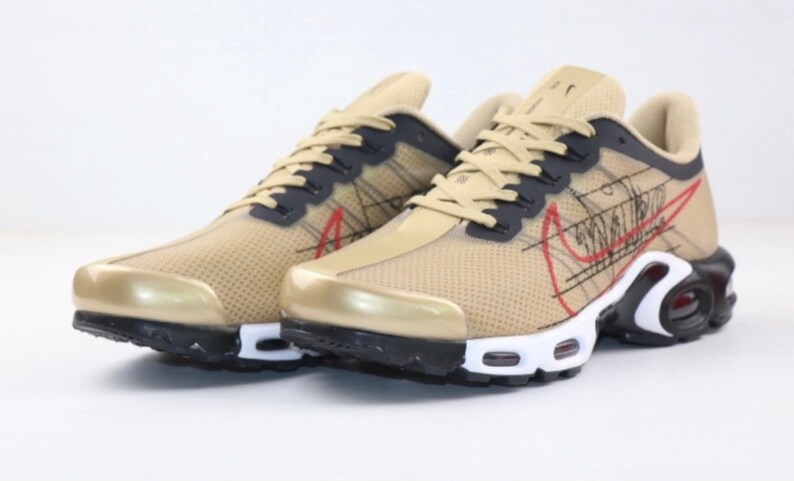 Nike Air Plus TN Zoom Pegasus Turbo | Etsy