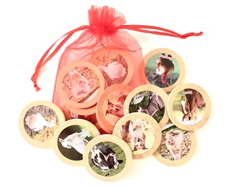 May include: A set of wooden farm animal discs with color images and labels, including a pig, cow, and donkey. The discs are displayed with a red mesh drawstring bag, perfect for a children's game or educational activity.
