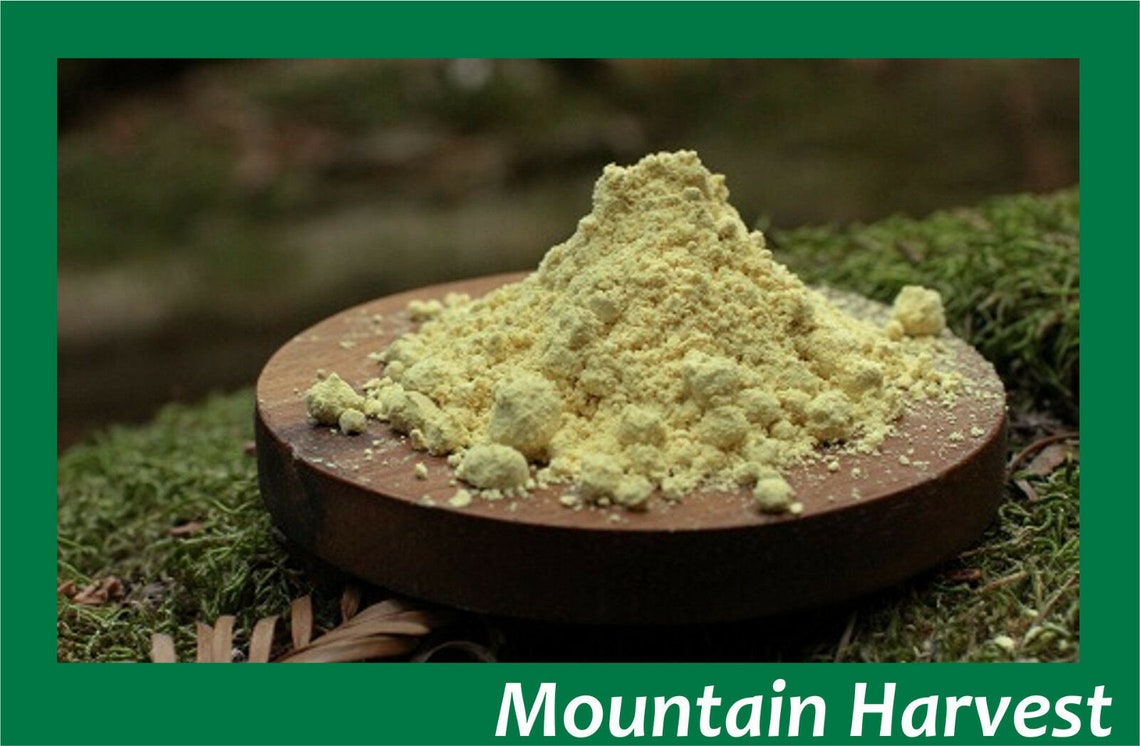 100 Wildcrafted Raw Pine Pollen Powder Pinus massoniana Etsy