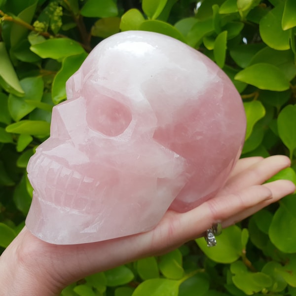 Very Large Rose Quartz Crystal Skull - 1.42kg!