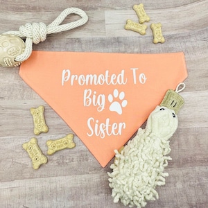 Promoted to Big Sister, Promoted to big Brother, Bandana, Dog Bandana, Baby Annoucement