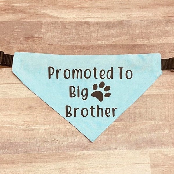 Big Brother Dog Etsy