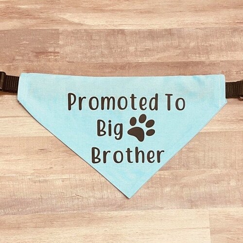 Promoted to Big Sister Promoted to Big Brother Bandana Dog Etsy
