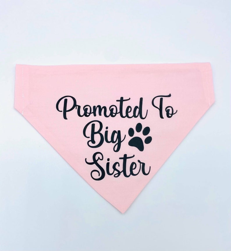 Promoted to Big Sister Promoted to Big Brother Bandana Dog Etsy