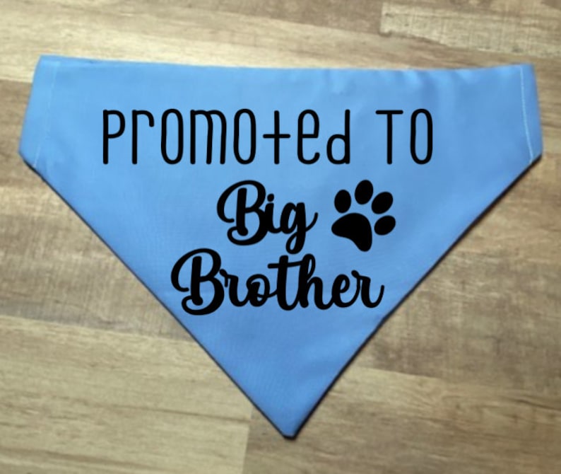 Promoted to Big Sister Promoted to big Brother Bandana Dog Etsy