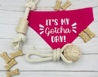 Gotcha Day Dog Bandana, Dog Bandana, Over The Collar Dog Bandana, Slip On Dog Bandana