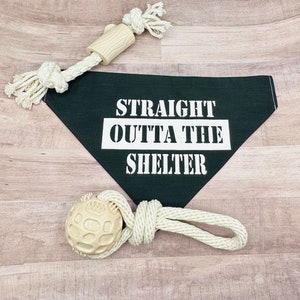 Straight Outta The Shelter Bandana, Funny Dog Bandana, Over the Collar Dog Bandana, Slip On Dog Bandana, Silly Dog Bandana