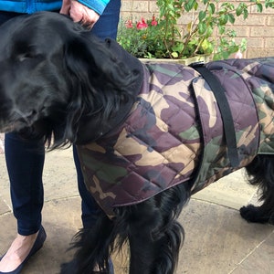 Cotswold aquarius dog coat hotsell