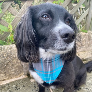 Dog Bandana,  Turquoise Blue Grey Tartan Dog Bandana, Reversible Dog Bandana, Velcro Fastening Bandana