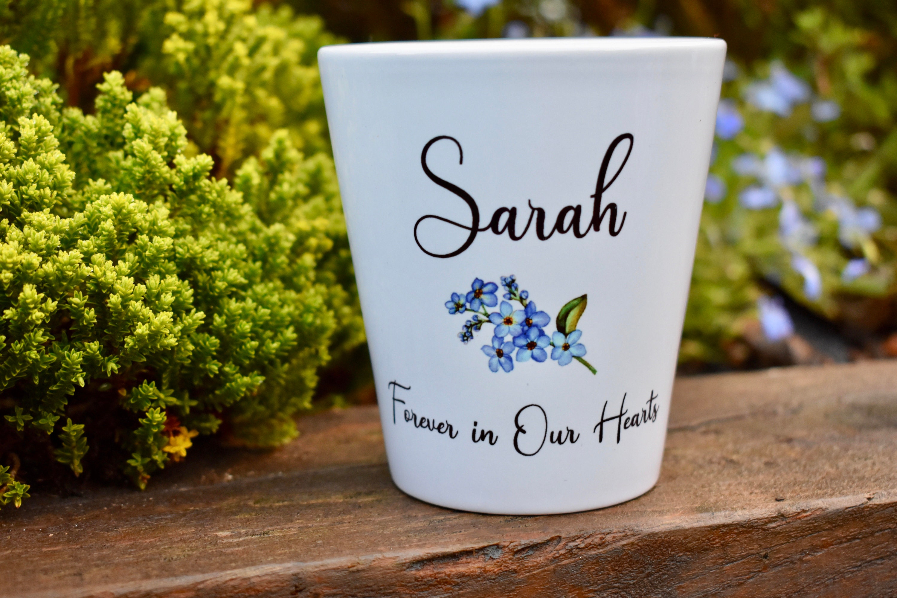 Forget not me personalised pot plant notonthehighstreet
