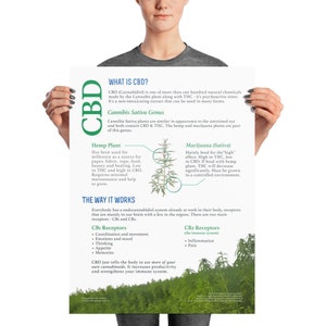 May include: A green and white poster with the word "CBD" in large letters. The poster explains what CBD is, how it works, and the difference between hemp and marijuana plants. The poster also includes illustrations of hemp and marijuana plants.