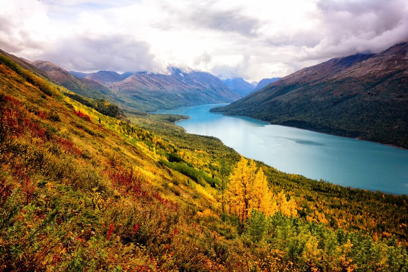 Landscape Photography Alaska Mountain Print Rustic Decor Fine Art Nature Print Lake Picture Wilderness Cabin Decor Large Wall Art