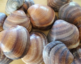 Strand Haus Dekor Etsy