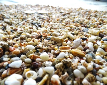 2lb (900g) Bulk beach sand/Natural gravel sand with very small and tiny sea shells/Decorative beach theme/Bulk sea stony sand from Crete