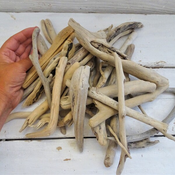 Bulk Driftwood Etsy