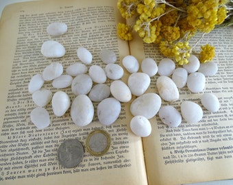 32 galets de plage arrondis en quartz blanc grec, 3/4 po-1 1/8 po. (2-3 cm), 1/2 lb (230 g)/En vrac de véritables galets de mer lisses pour l'artisanat et la décoration