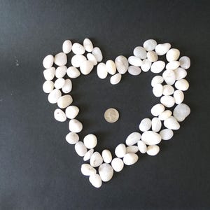 Más de 65 piedras de playa redondeadas de cuarzo blanco griego, 3/4&#39;&#39;-1 1/8&#39;&#39; (2-3 cm), 1 lb (450 g)/Piedras marinas genuinas y lisas a granel para manualidades y decoración