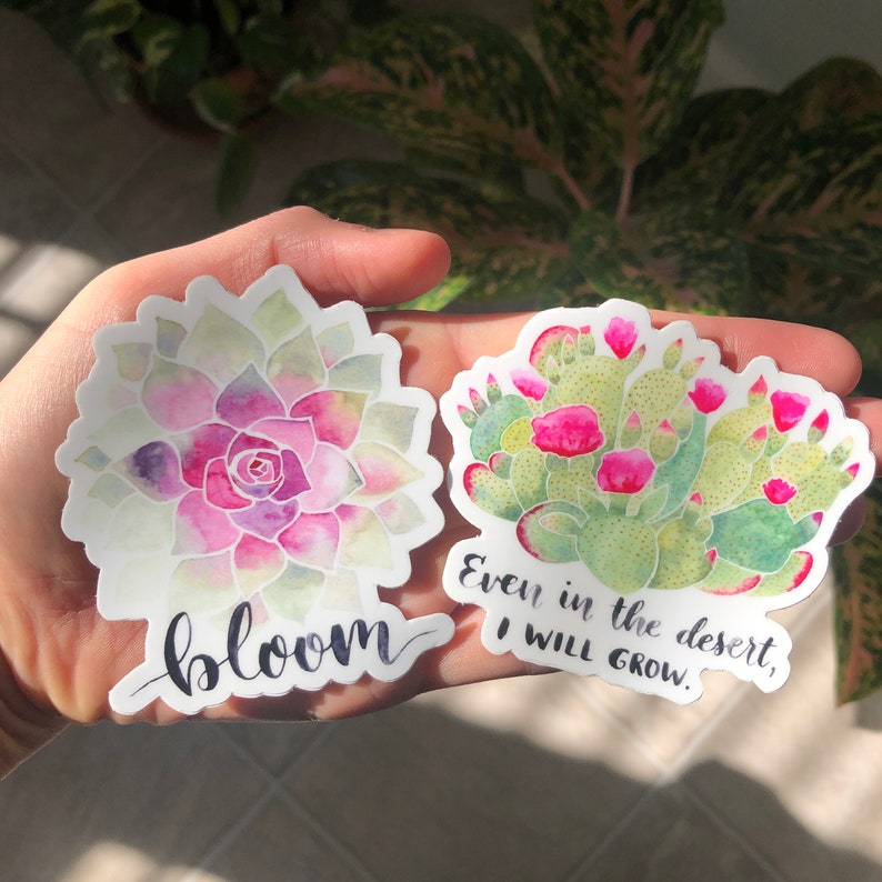 Może przedstawiać: Dwie naklejki akwarelowe z motywami botanicznymi. Jedna przedstawia sukulenta ze słowem "bloom". Druga przedstawia kaktus z r&oacute;żowymi kwiatami i tekstem "Even in the desert, I will grow."