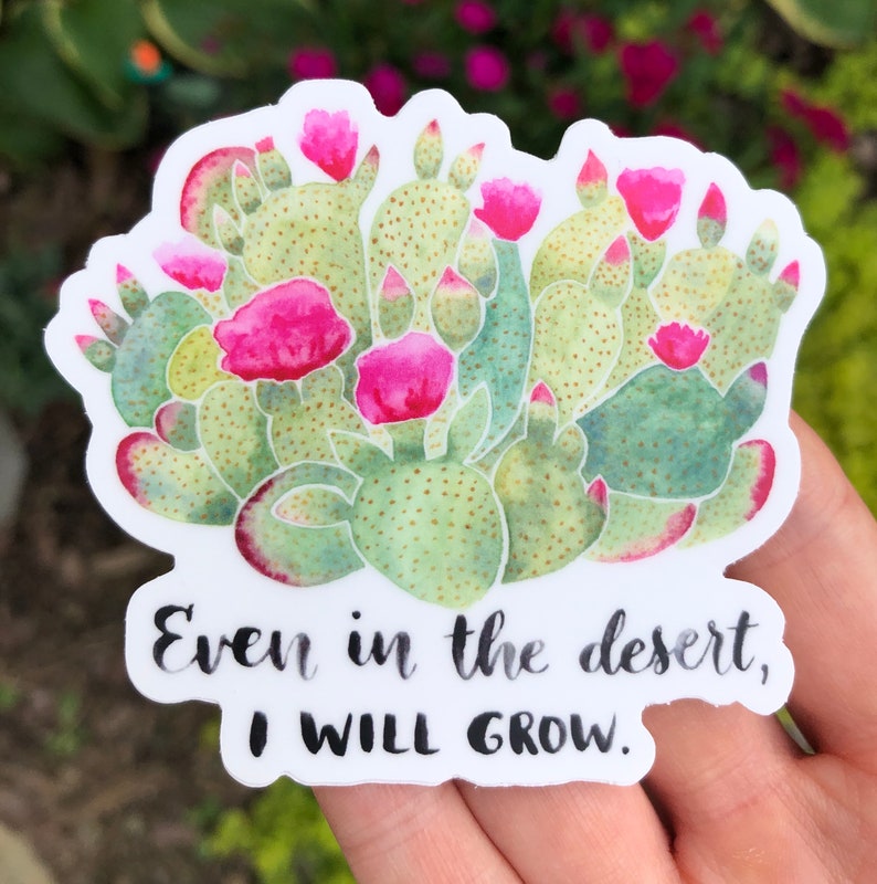 Może przedstawiać: Naklejka z akwarelową ilustracją opuncji z r&oacute;żowymi kwiatami. Naklejka zawiera napis "Even in the desert, I WILL GROW" czarnym pismem.