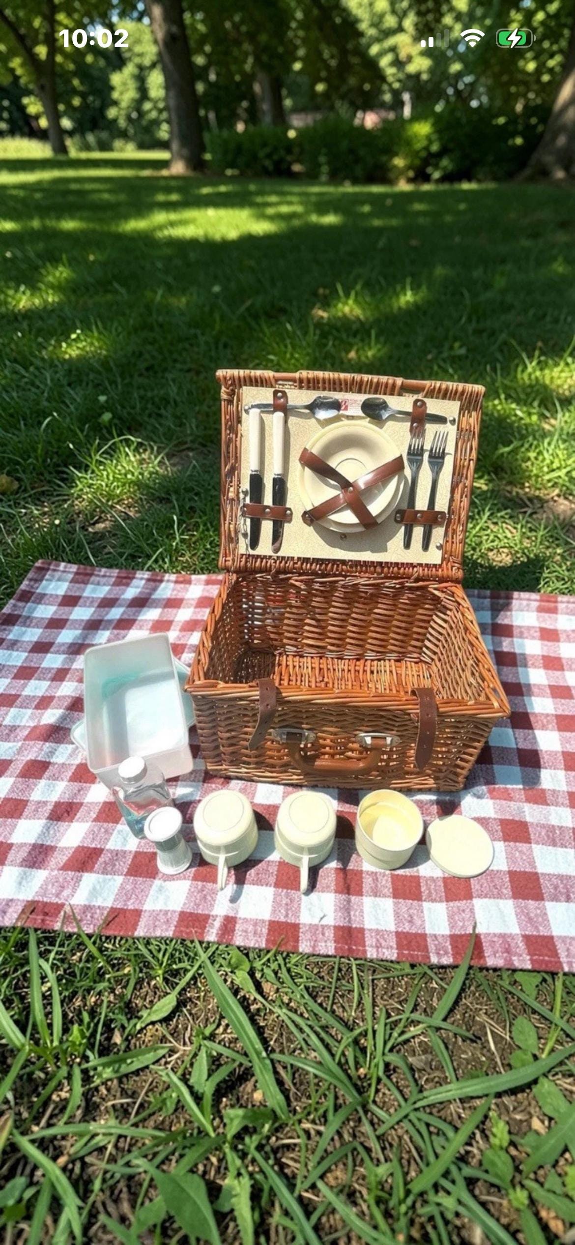 Brexton picnic set - Etsy 日本