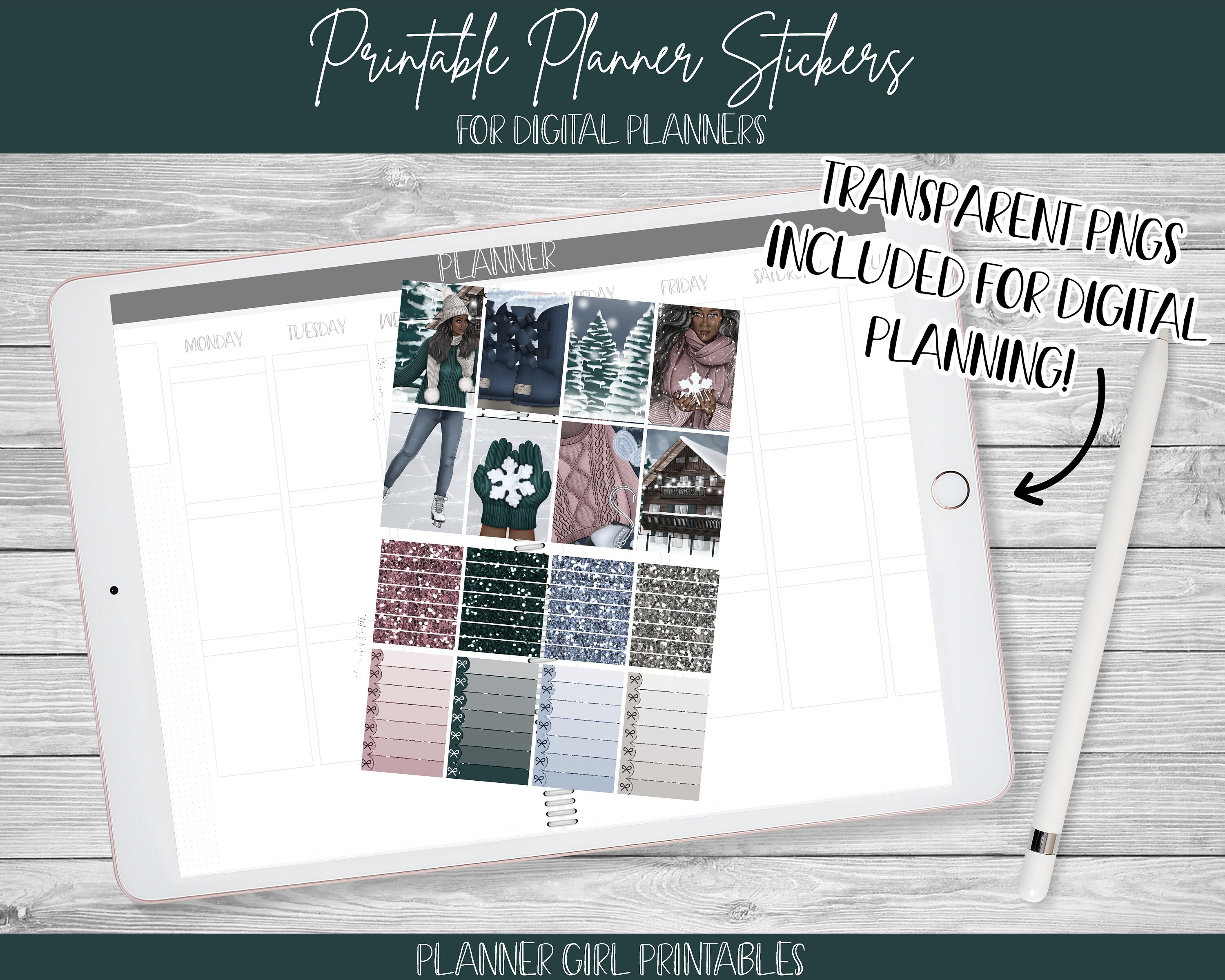 PRINTABLE Happy Planner Classic Stickers Weekly Kit Ice | Etsy
