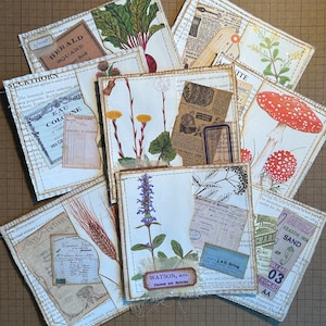 Pochettes pour carnets faites main. Lot de 5 trempettes porte-bonheur. Fournitures pour journaux indésirables. plantes/champignons vintage. pochettes de page de livre vintage.