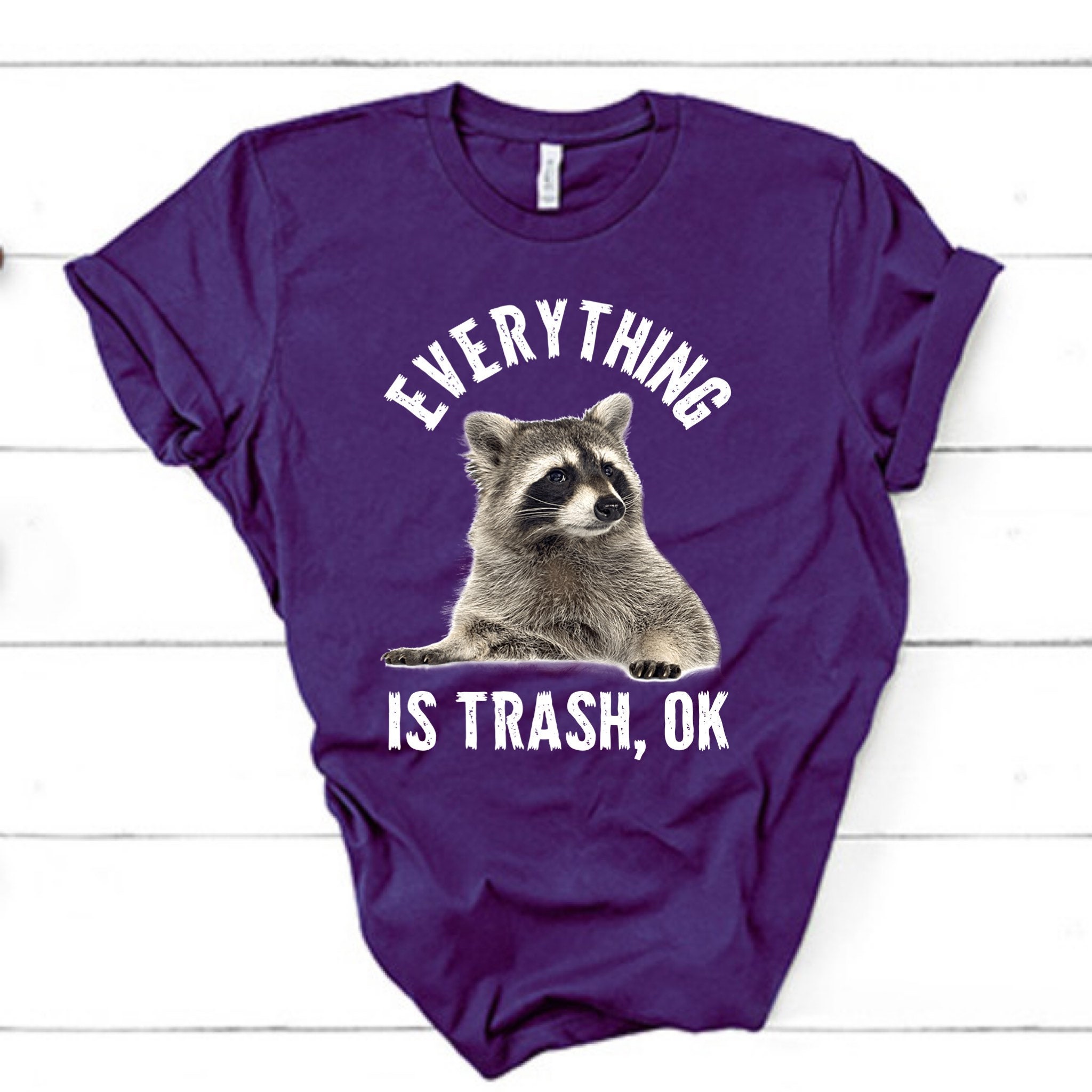 Everything is Trash Ok Raccoon Graphic Tee Funny Unisex | Etsy