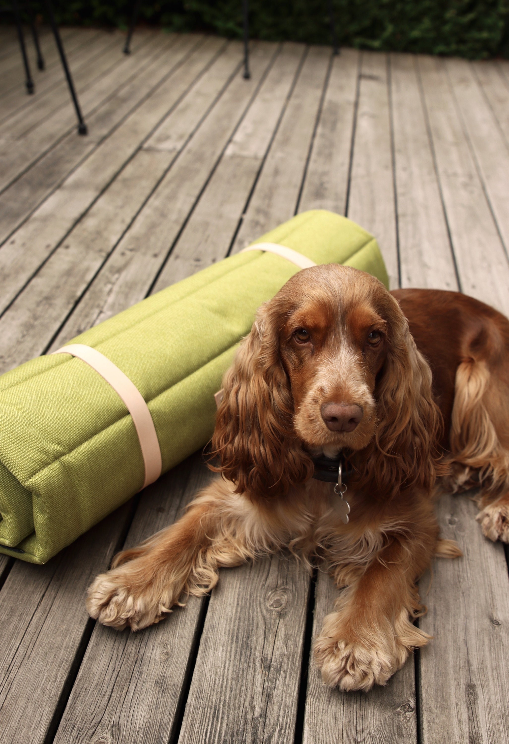 outdoor dog roll up bed