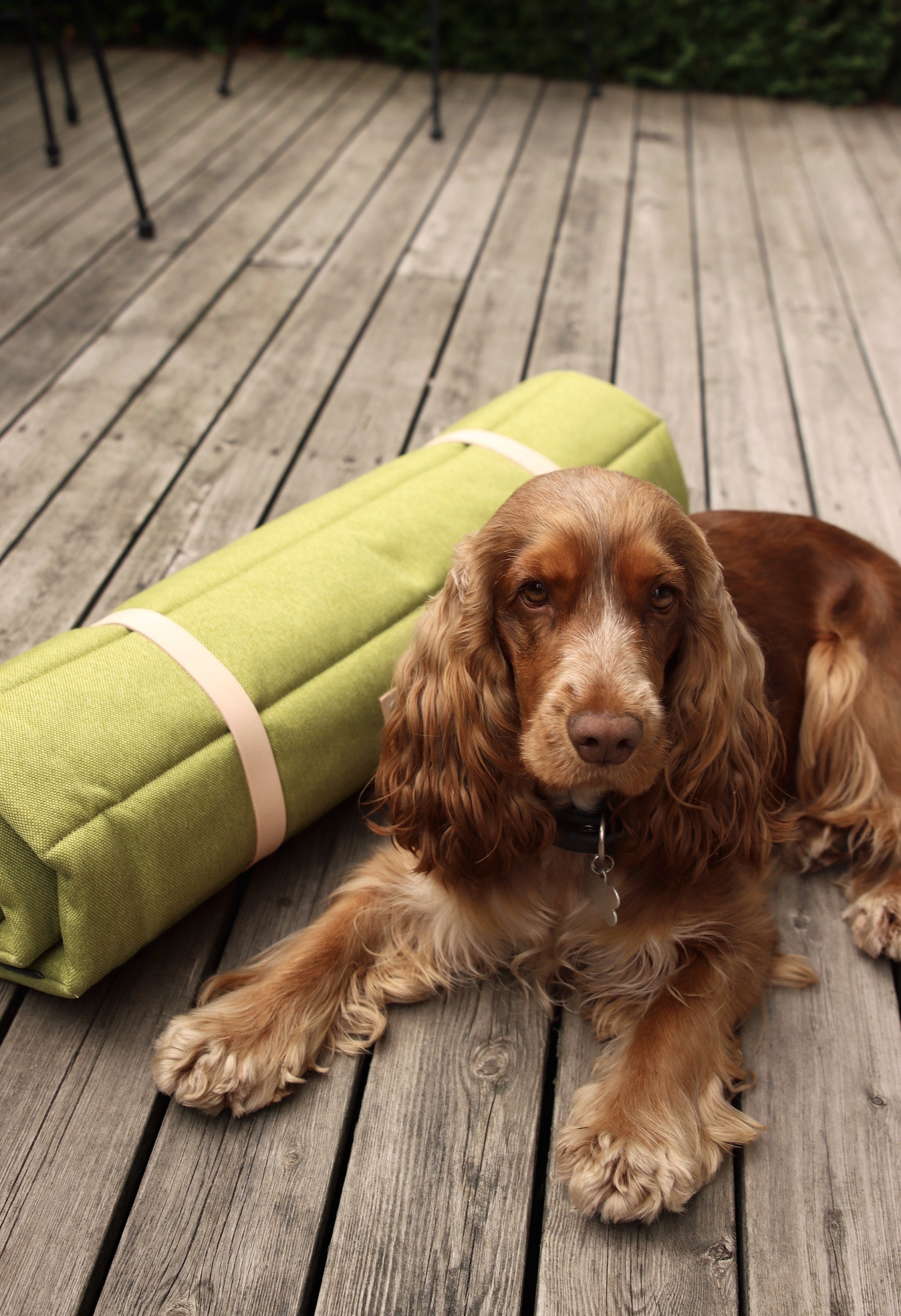 Big Sky Nap® Dog Mat, Dog Sleeping Mat