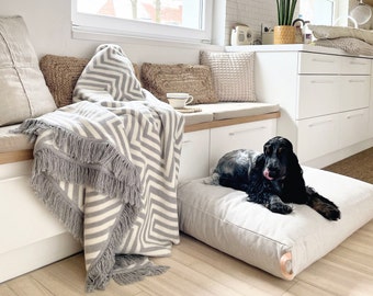 Modern Dog Bed, Elegant Designer Cushion, KIIMA