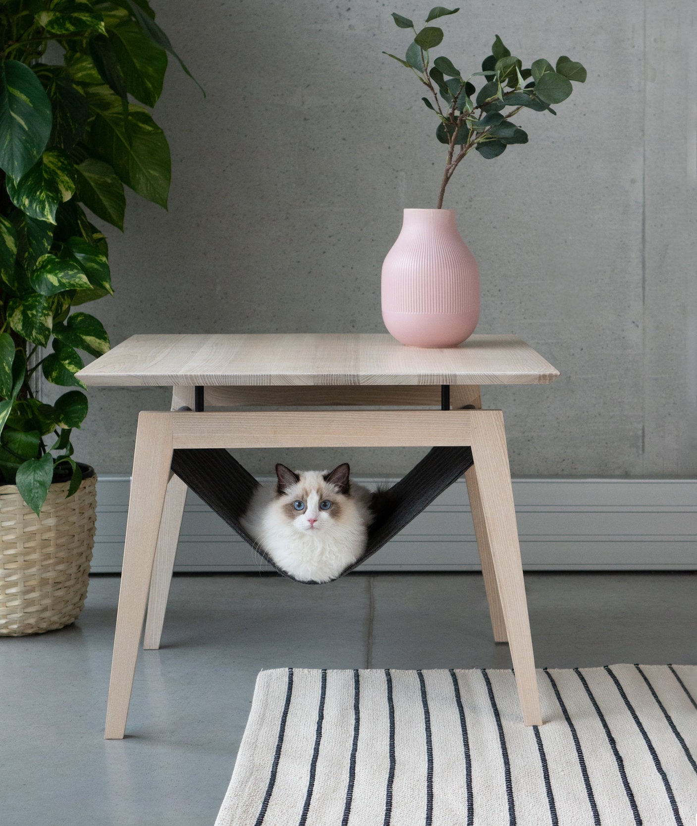 Kikko, Table Basse de Luxe, Lit Chat, Conception Scandinave, Concepteur, Hamac Petit Table Basse, Sa