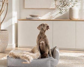 MØVIK Modern Dog Bed – Minimalist Designer Pet Furniture, Contemporary Sofa Couch