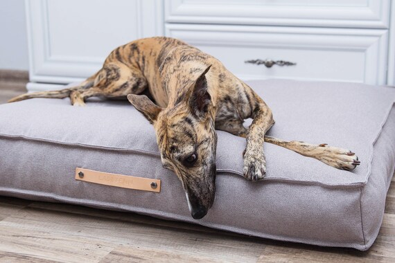 stylish pet bed
