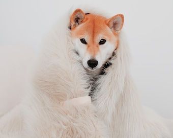 White Faux Fur Dog Blanket, Modern Scandinavian Design