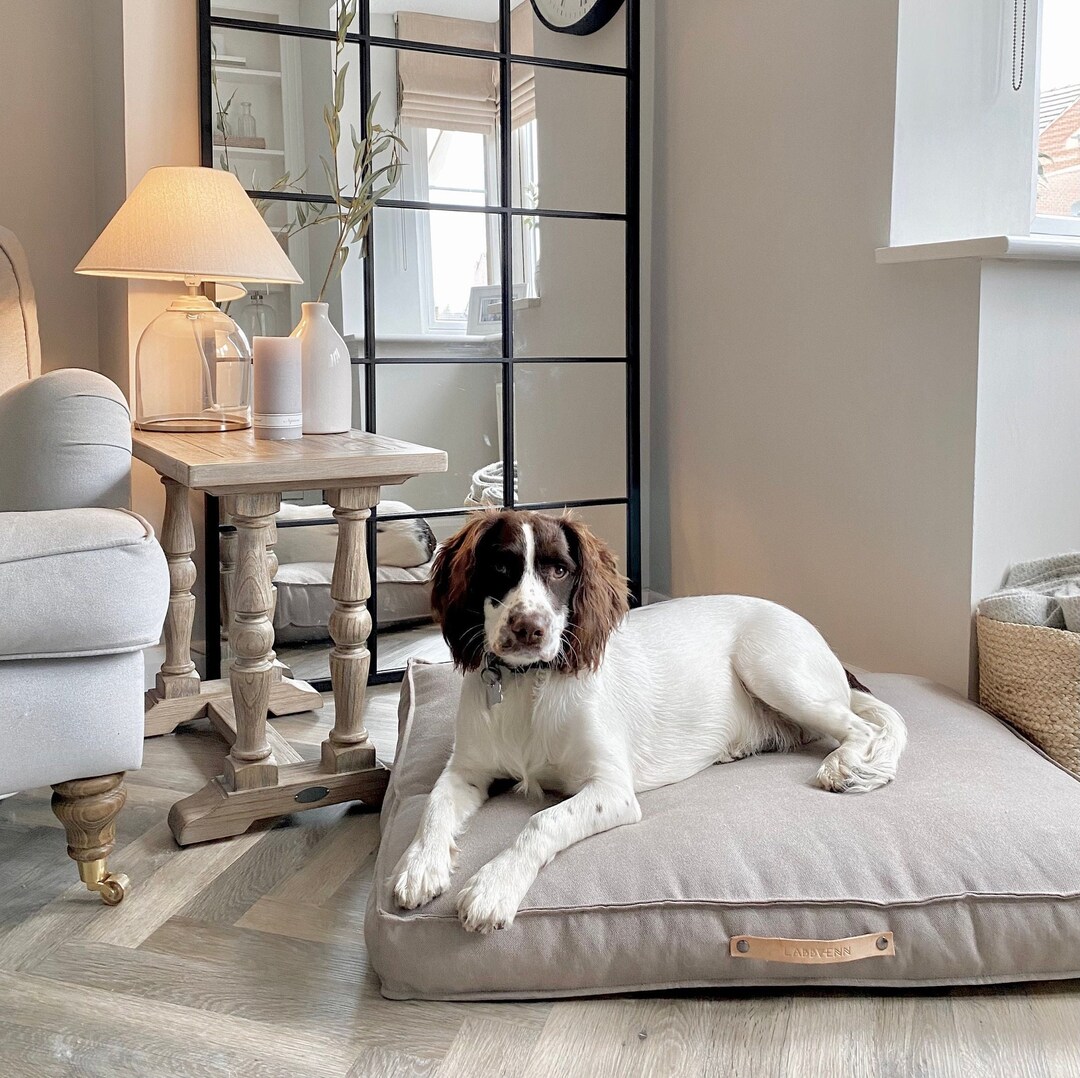 Stylish Dog Bed, TÖVE Cushion, Modern Design, Dog Cushion