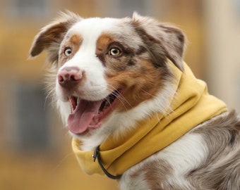 Modern Dog Neck Warmer, Scandinavian Cotton Scarf, Leather Belt Detail