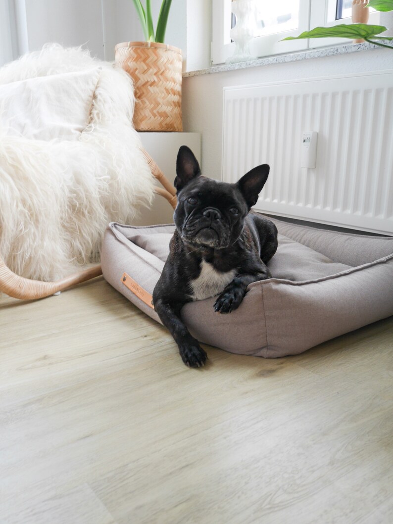 Stylish TÖVE Dog Bed, Modern Design, Dog Sofa, Designer Bed Cover, Dog