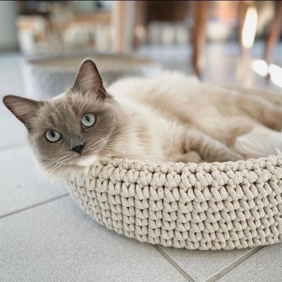 Cat basket cheap